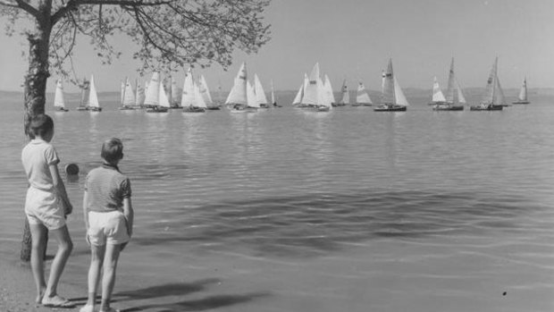 Moths and Minisails racing on Lake George in the Canberra Yacht Club's opening regatta on October 1, 1961.