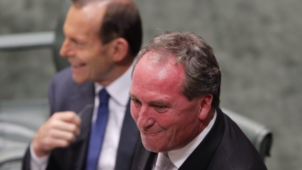 Tony Windsor has sought to make the most of the link between Barnaby Joyce and the Coalition's right, including Tony Abbott.
