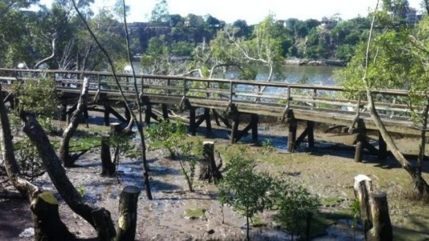 The original mangrove boardwalk was demolished. 