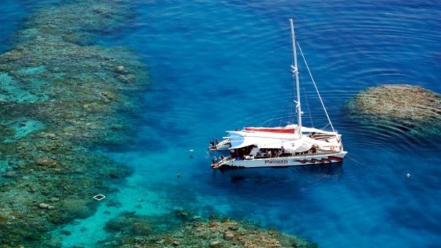 Passions of Paradise has taken hundreds of thousands of tourists to the reef, with a fatality in 1997.