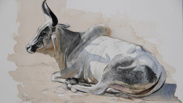 Bull painted by Melbourne artist Jason Roberts in Rajasthan, India.