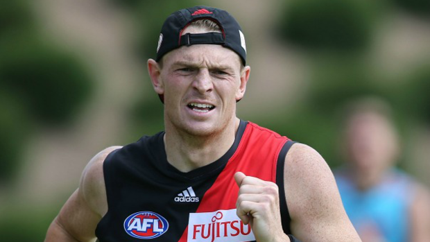 Key role: Brendon Goddard will need to carry a heavier load at Essendon.