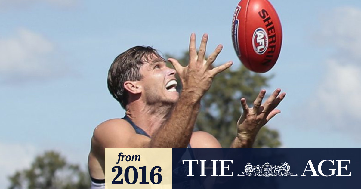 Live AFL: Geelong Cats v Brisbane Lions