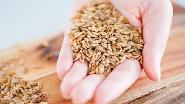 Canberra startup The Healthy Grain has commercialised BarleyMAX, a natural whole grain that contains twice the dietary fibre of regular grain.