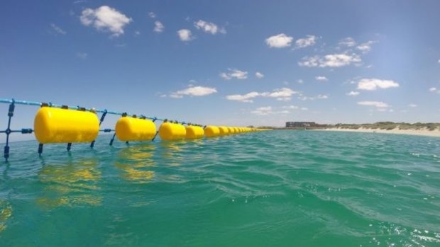 Shark nets have been introduced in NSW and Queesnland but the WA Premier has labelled them killing machines.