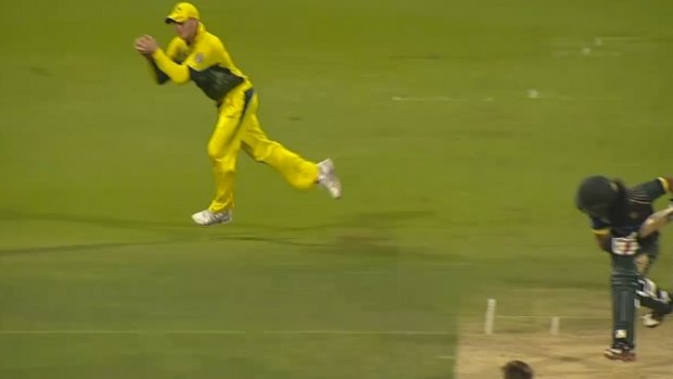Some sight: Smith darts across to take the catch.
