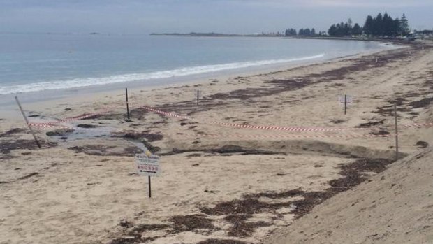 Millions of litres of sewage have flowed into water at Safety Bay beach.