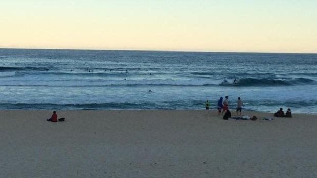 A few intrepid surfers return to the water after the shark sighting at Bondi.