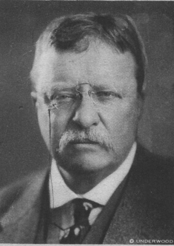 Theodore Roosevelt:  A more eloquent exposition of the truth that life is tough might be hard to find. 