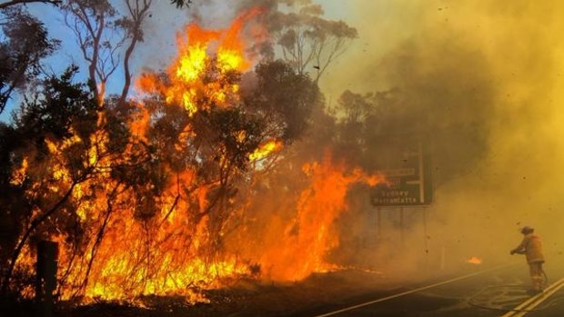 Hazard reduction burning in the Ku-ring-gai National Park north of Sydney in August.