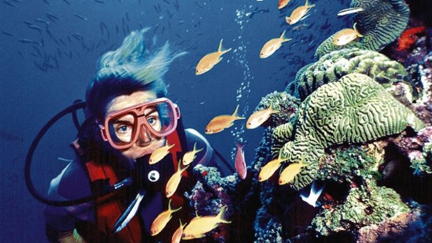 "This is still the world's Great Barrier Reef."