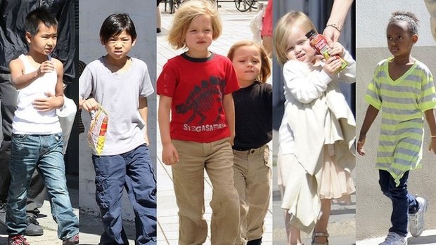 The six children, Maddox, Pax, Shiloh, twins Knox and Vivienne, and Zahara, that the couple already have.