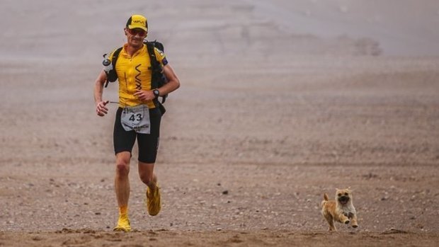 Gobi followed Dion Leonard for 125 kilometres during his ultramarathon across China. 
