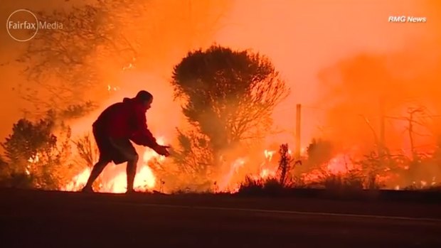 In this still from a news video, Oscar Gonzales is seen approaching a distressed rabbit at the wildfires in California.
