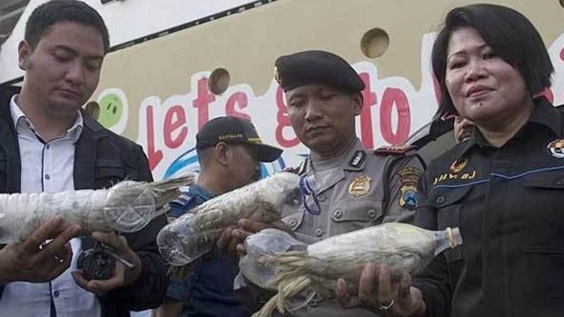 Indonesian officials hold the recovered birds.