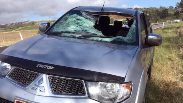 A kangaroo smashed through the windscreen of a ute at Jerrys Plains on Thursday morning.