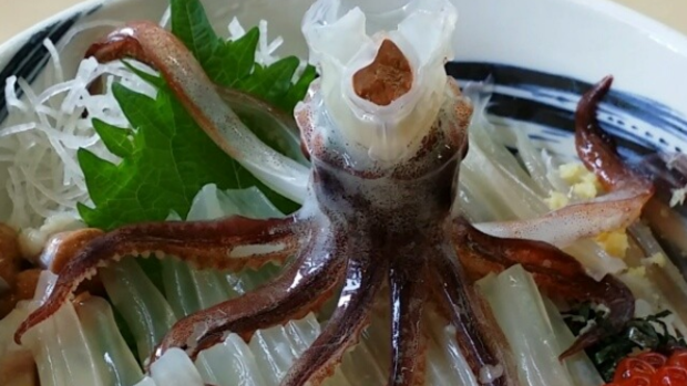 Dinner and show: Dancing squid bowl dish.