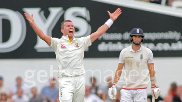 Likely selection: Peter Siddle during the final Test of the Ashes.