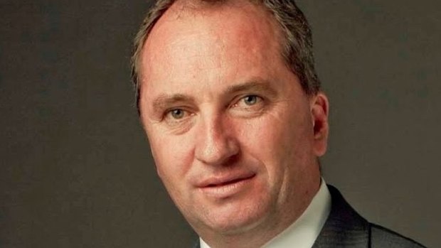 Voters in National Party leader Barnaby Joyce's electorate are largely unimpressed by the prospect of the Coalition's plebiscite plans. 