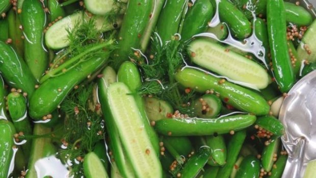 Lucrative opportunity: Abundant Produce is pinning its hopes on developing hardier cucumber, tomato and eggplant seeds.