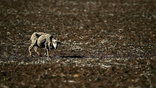 More intense droughts and flooding rains are in prospect as the planet warms up.