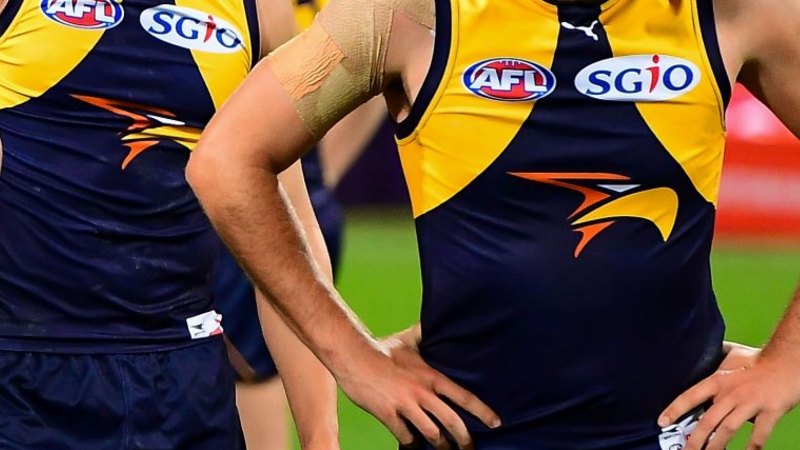 Damning West Coast Eagles drugs dossier made public