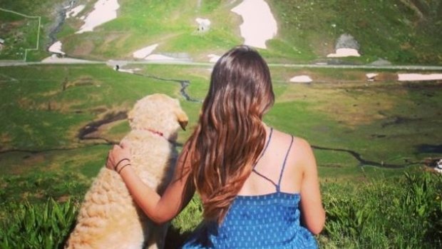 Best travel buddy: Marina Piro quit her job to travel with her dog Odie.