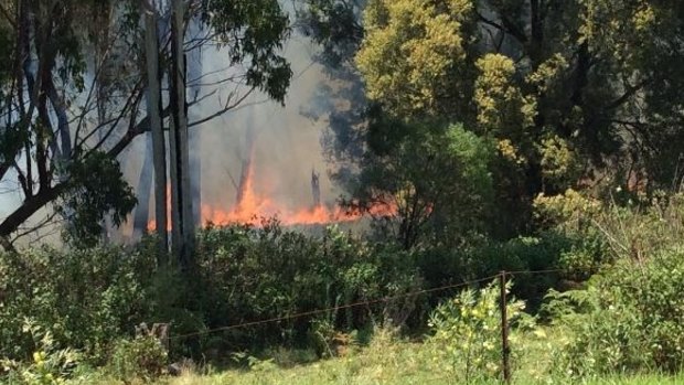 The bushfire started at The Falls, south-east of Warwick, about 2pm on Saturday.
