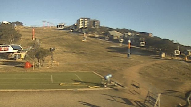 Grass skiing available on Mt Buller.
