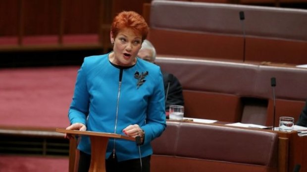 One Nation leader Pauline Hanson: would her ban be unconstitutional?