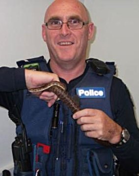 First Constable Mark Aitken takes over the role of snake handler at Frankston police station.