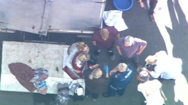 A woman in her 50s is treated after being bitten by a monkey at Movie World studios, where the Pirates of the Caribbean movie is being filmed.