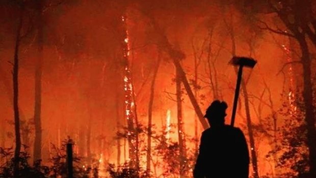Specialised forest firefighters are often denied the employment conditions afforded to emergency service workers.