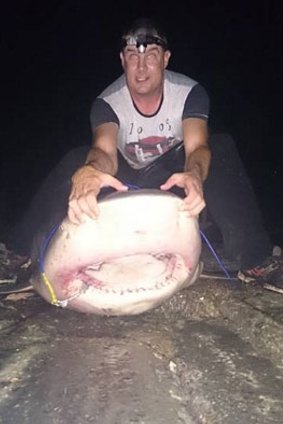 Denis Rivers released the monster shark after an hour-long battle. 