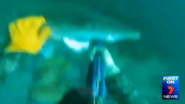Terrifying: Sam Smith filmed the moment a shark bit his hand.