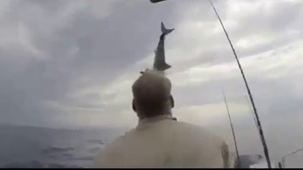 A mako shark leaps out of the water in front of a fisherman in California.