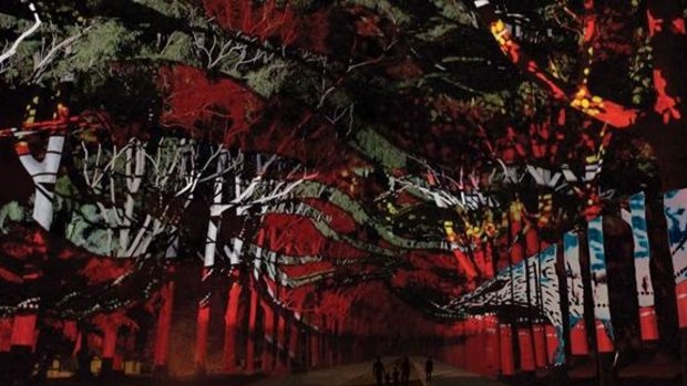 Kings Park's trees will come to life in the PIAF opening spectacular. 