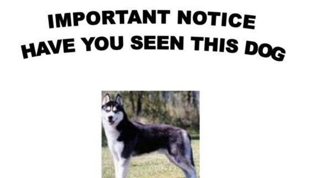 Part of the notice sent out to residents after an animal cruelty incident.