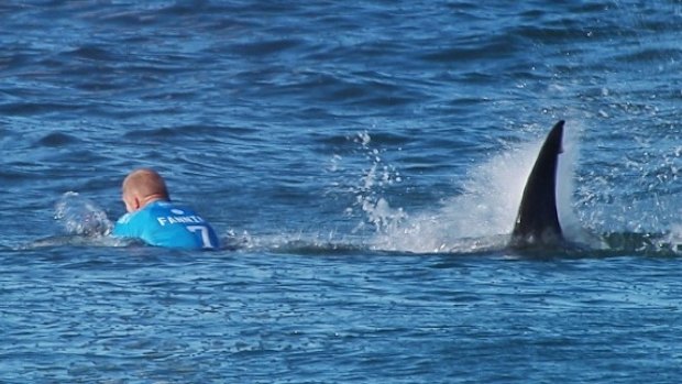 The real deal: Mick Fanning battles with the shark at Jeffreys Bay, South Africa, in July.