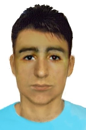 A computer-generated image of the suspect police want to speak to about the incident.