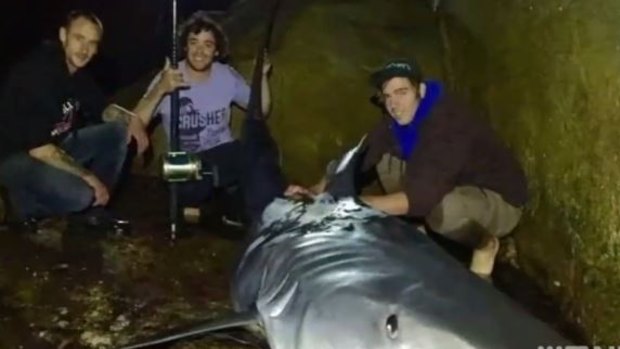 Nick and his friends with the 4.2m shark. 