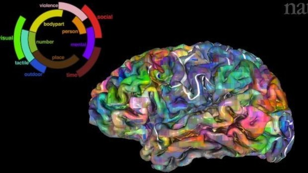 Brain map developed by Alexander Huth and colleagues at the University of California, Berkeley.