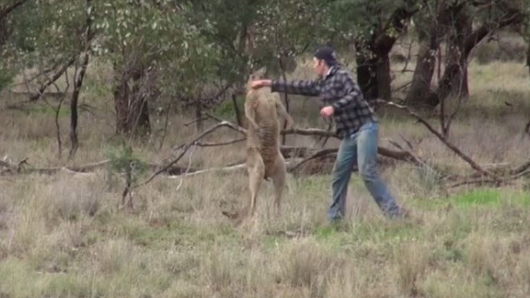 Graffiti Artist Turns Kangaroo Punch Man Into A Work Of Art