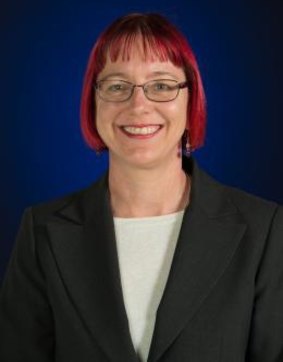University of NSW workplace academic Sue Williamson.