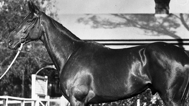 Phar Lap: transcended the hard times and struggle of the '30s to show people something extraordinary.