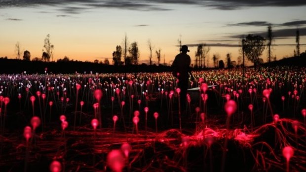  English artist Bruce Munro has managed to further illuminate the beauty of Uluru through his Field of Light installation which has drawn rapturous crowds since it opened in April 2016. The giant fields housing 50,000 coloured LED lights on swaying stems intrigue and amaze as they change colour  as you walk through them and provide a duelling night show with the milky way-streaked night sky. Field of Light is only accessible through a resort tour. The installation has been credited with generating  unprecedented demand for rooms in the Red Centre. Enjoy the Sounds of Silence outdoor dinner on the same night. See 