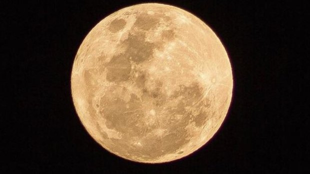 The supermoon that hung over Brisbane on November 14.