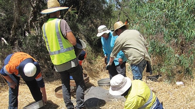Archaeologists say they have found historic aboriginal artefacts alongside the route of the Roe 8 extension.