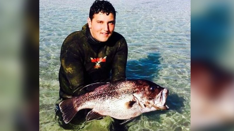 Timeline of fatal shark attacks along the West Australian coast