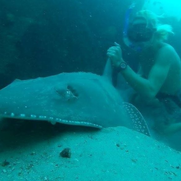 Cooper Allen's Facebook page shows he is a keen beachgoer.